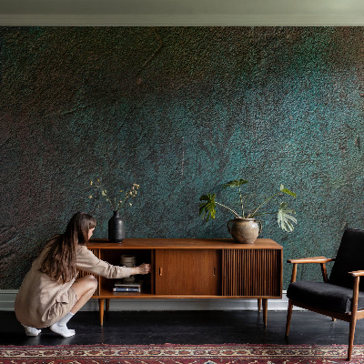 Wall mural for living room with a rustic surface finish