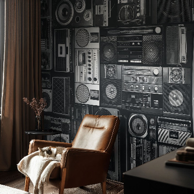 Modern wall mural for bedroom Retro radio