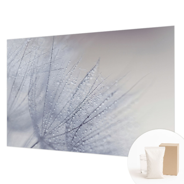 Premium wall mural for bedroom featuring a dewy dandelion design