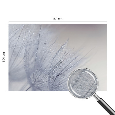 Premium wall mural for bedroom featuring a dewy dandelion design