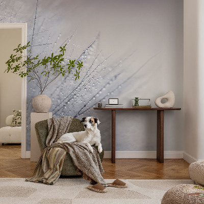 Premium wall mural for bedroom Dewy dandelion