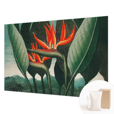 Premium photo wallpaper with an exotic flowers motif
