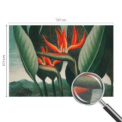 Premium photo wallpaper with an exotic flowers motif