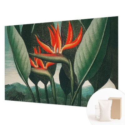 Premium photo wallpaper with an exotic flowers motif