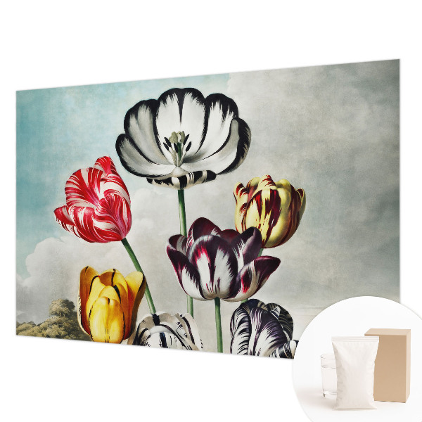 High quality wall mural wallpaper with a colorful tulip design
