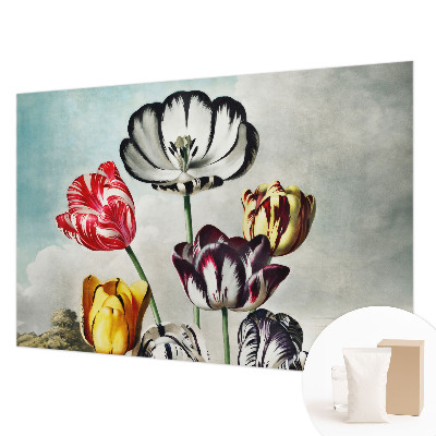 High quality wall mural wallpaper with a colorful tulip design