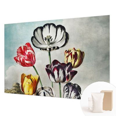 High quality wall mural wallpaper with a colorful tulip design