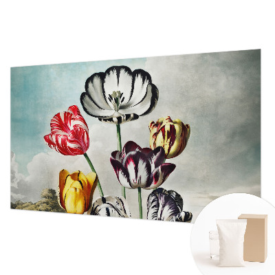 High quality wall mural wallpaper with a colorful tulip design