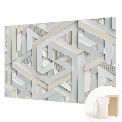Large wall mural with an illusory forms design