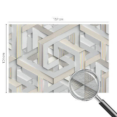 Large wall mural with an illusory forms design