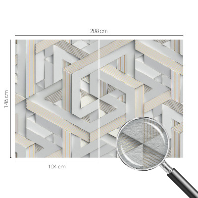 Large wall mural with an illusory forms design