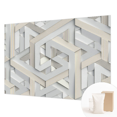 Large wall mural with an illusory forms design