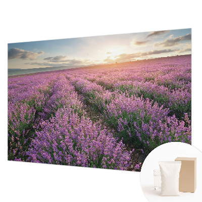 Large wall mural wallpaper Lavender fields