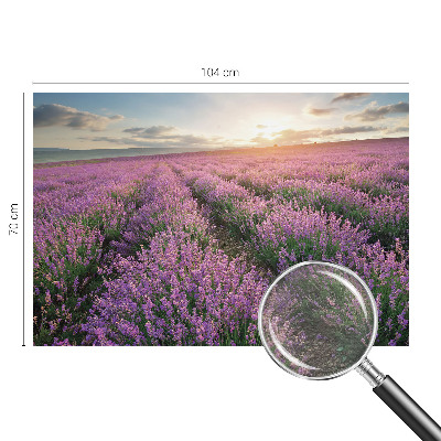 Large wall mural wallpaper with a lavender fields design