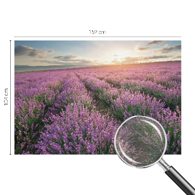 Large wall mural wallpaper Lavender fields