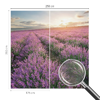 Large wall mural wallpaper with a lavender fields design