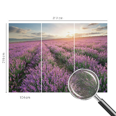 Large wall mural wallpaper Lavender fields