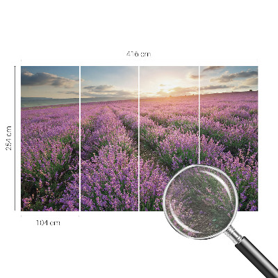 Large wall mural wallpaper Lavender fields