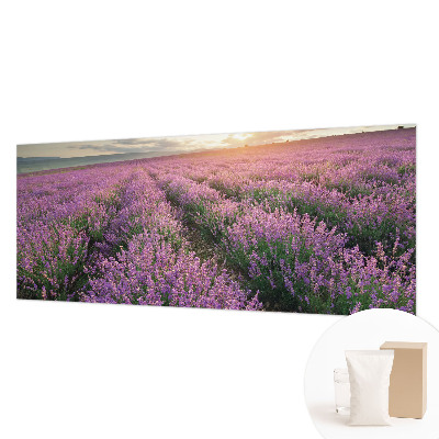Large wall mural wallpaper Lavender fields
