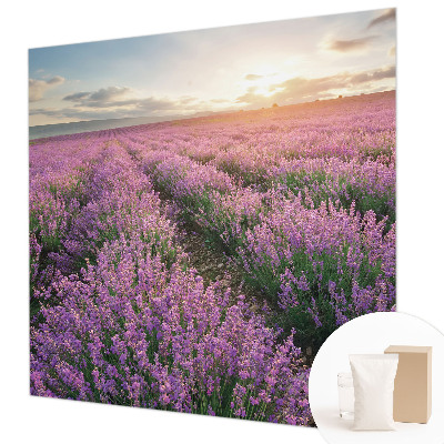 Large wall mural wallpaper with a lavender fields design