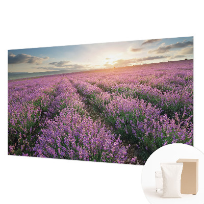 Large wall mural wallpaper Lavender fields