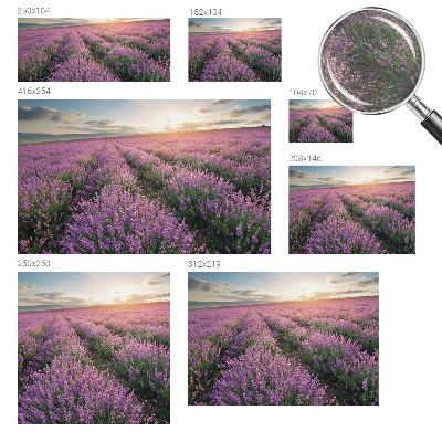 Large wall mural wallpaper with a lavender fields design