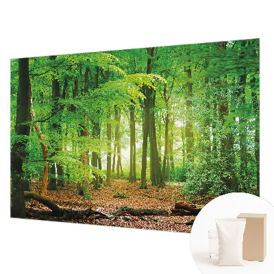 Modern wall mural with a green forest motif