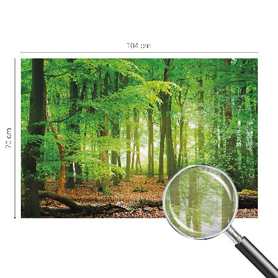 Modern wall mural Green forest