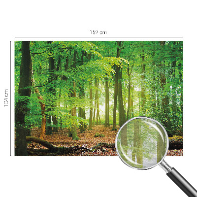 Modern wall mural Green forest