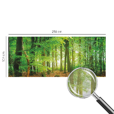 Modern wall mural Green forest