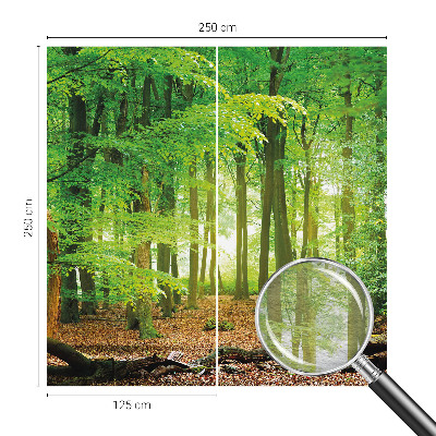 Modern wall mural Green forest