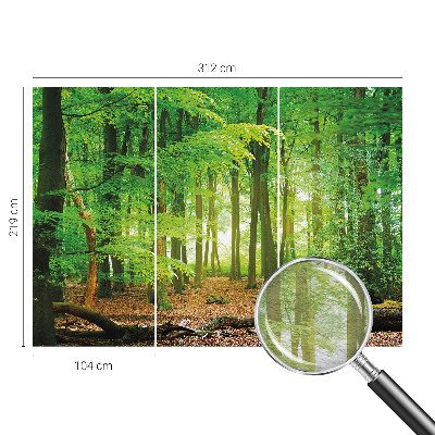 Modern wall mural with a green forest motif