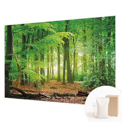 Modern wall mural with a green forest motif