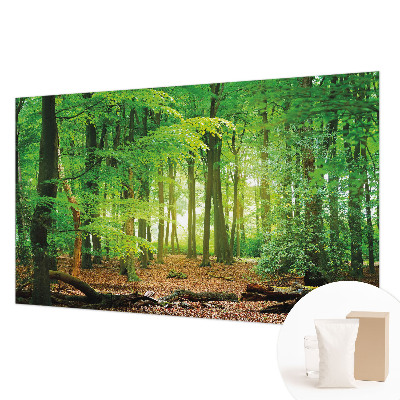 Modern wall mural Green forest