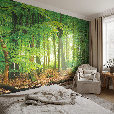 Modern wall mural Green forest
