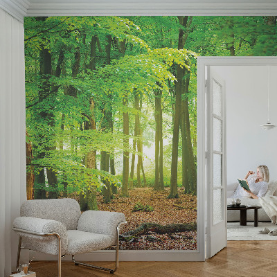 Modern wall mural Green forest