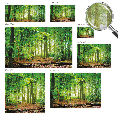 Modern wall mural Green forest