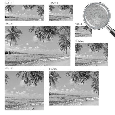 Modern wall mural for bedroom with a tropical paradise design