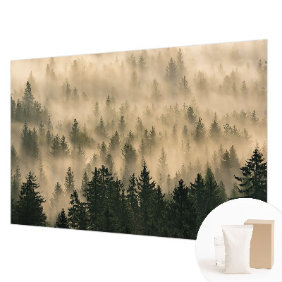 Premium photo wallpaper with a misty forest motif