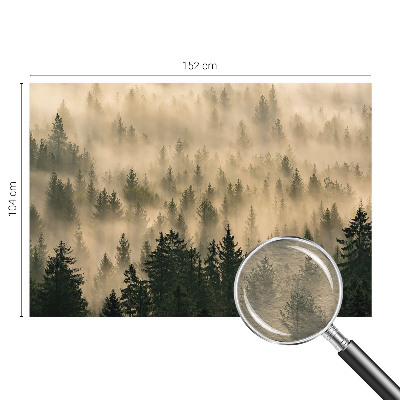 Premium photo wallpaper with a misty forest motif
