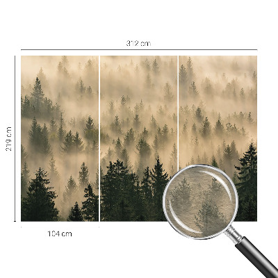 Premium photo wallpaper with a misty forest motif