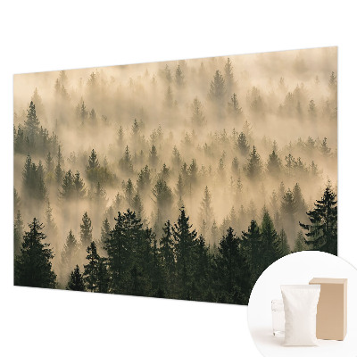 Premium photo wallpaper with a misty forest motif