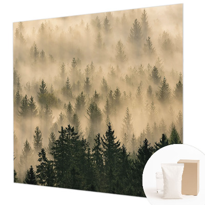 Premium photo wallpaper Forest fog
