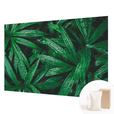 Wallpaper mural for living room with a natural greenery design