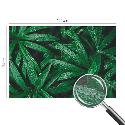 Wallpaper mural for living room with a natural greenery design