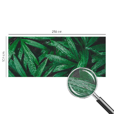 Wallpaper mural for living room with a natural greenery design