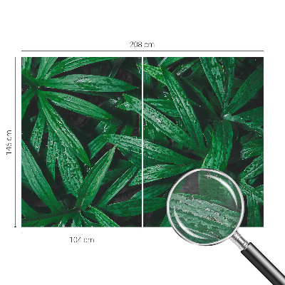 Wallpaper mural for living room with a natural greenery design