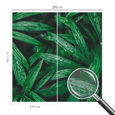 Wallpaper mural for living room with a natural greenery design