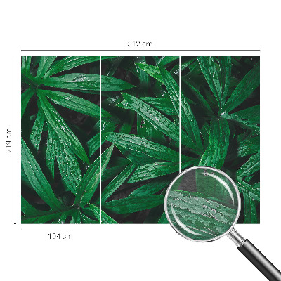 Wallpaper mural for living room with a natural greenery design