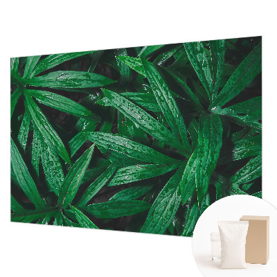 Wallpaper mural for living room with a natural greenery design